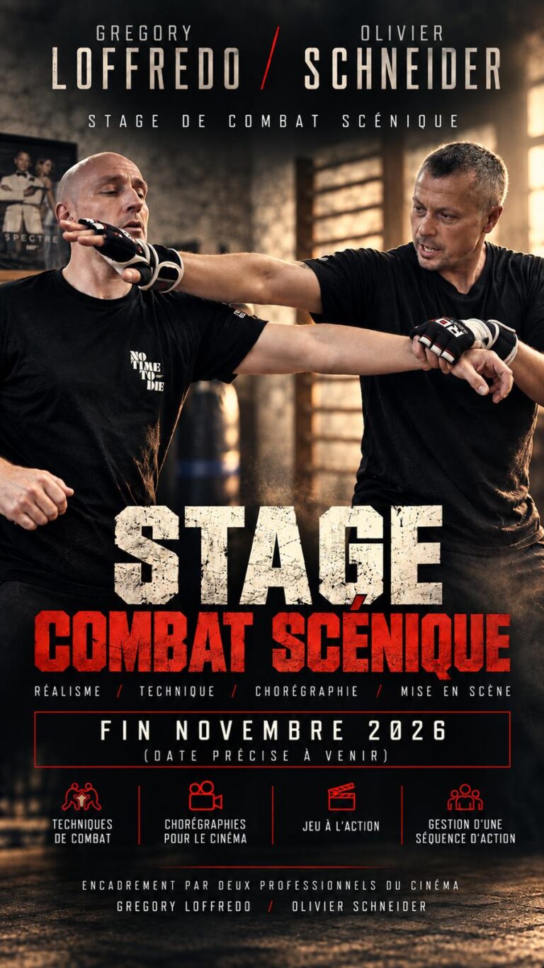 Stage de combat scénique